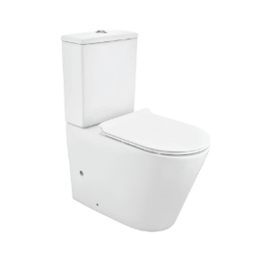 Picture of Rimless Bowl for coupled WC