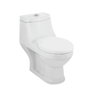 Picture of Single Piece WC