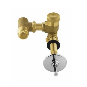 Picture of In-wall Flush Valve