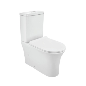 Picture of Rimless Bowl for Coupled WC