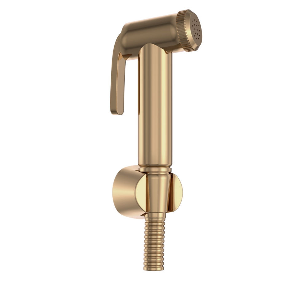 Picture of Health Faucet Kit - Auric Gold