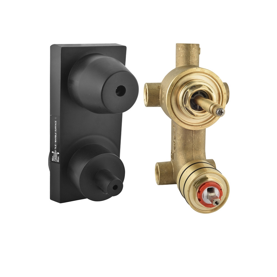 Picture of Aquamax In-wall Body of Single Lever Shower Mixer